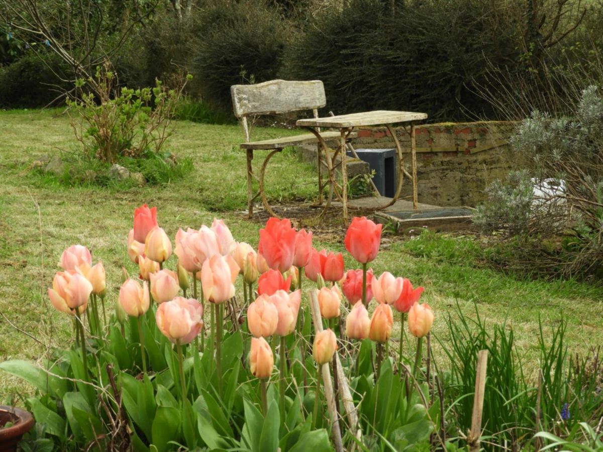 Au Domaine De Sophie Chambres D'Hotes Crasville  Экстерьер фото